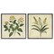 Stupell Industries Vintage Yellow Bushels and Wheat 2pc Framed Giclee Set, design by Petal Prints Design